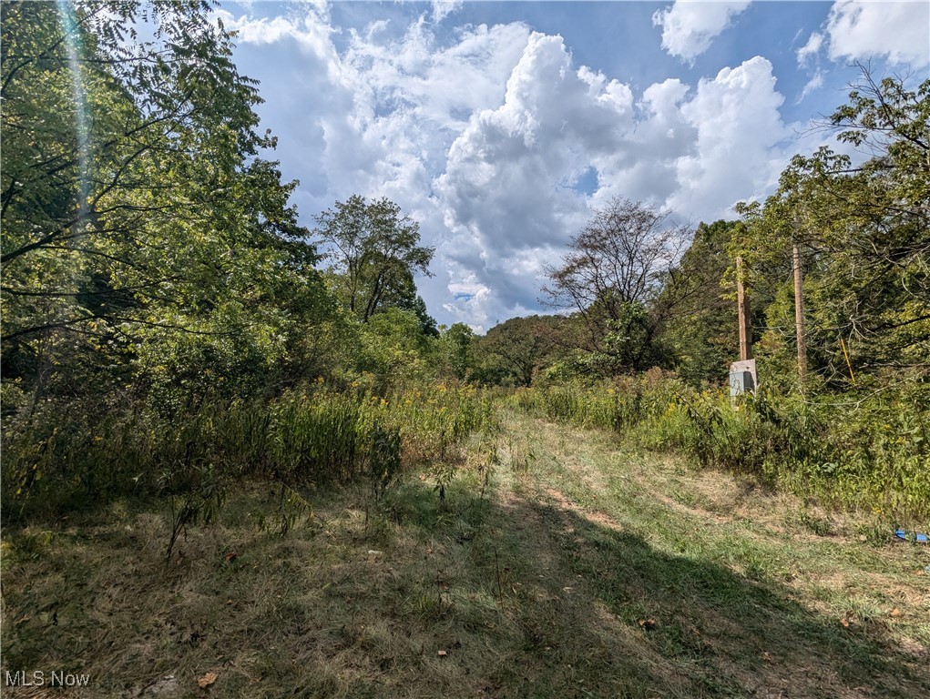 County Road 1, Rayland, Ohio image 20