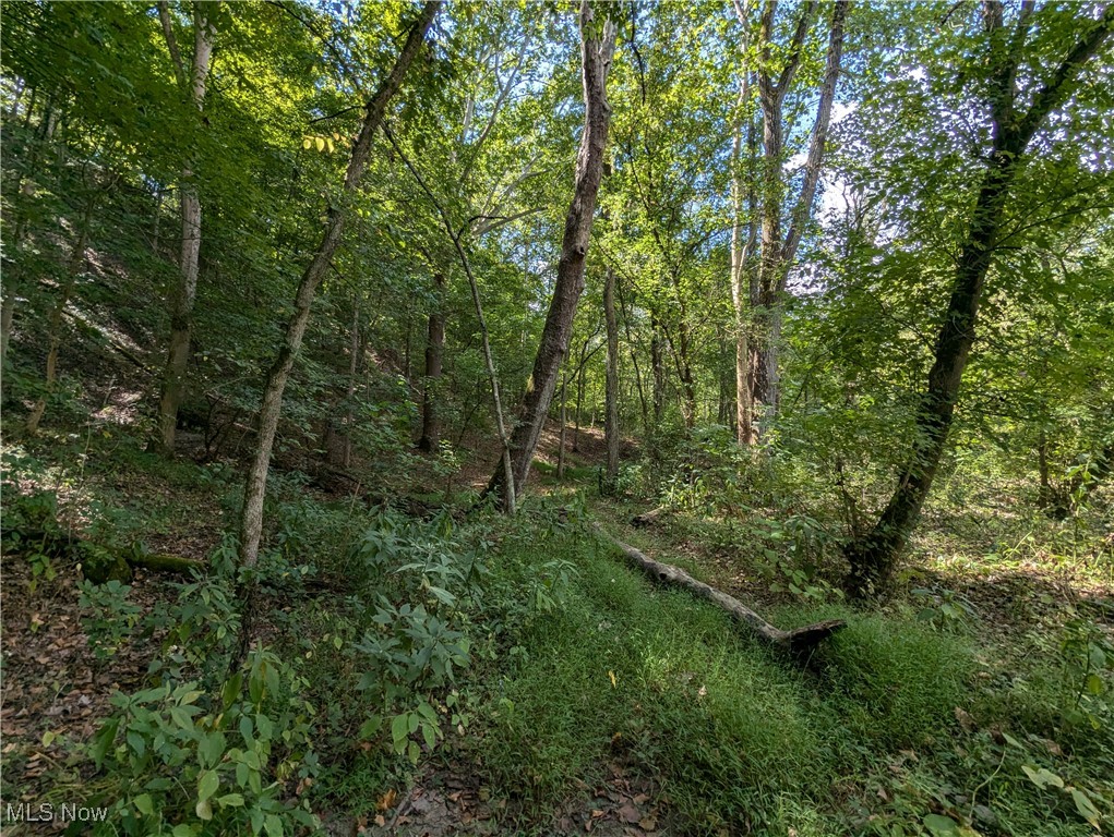 County Road 1, Rayland, Ohio image 9