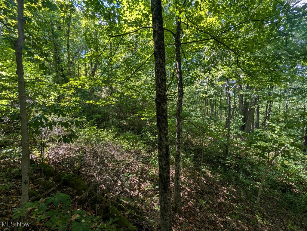 County Road 1, Rayland, Ohio image 13