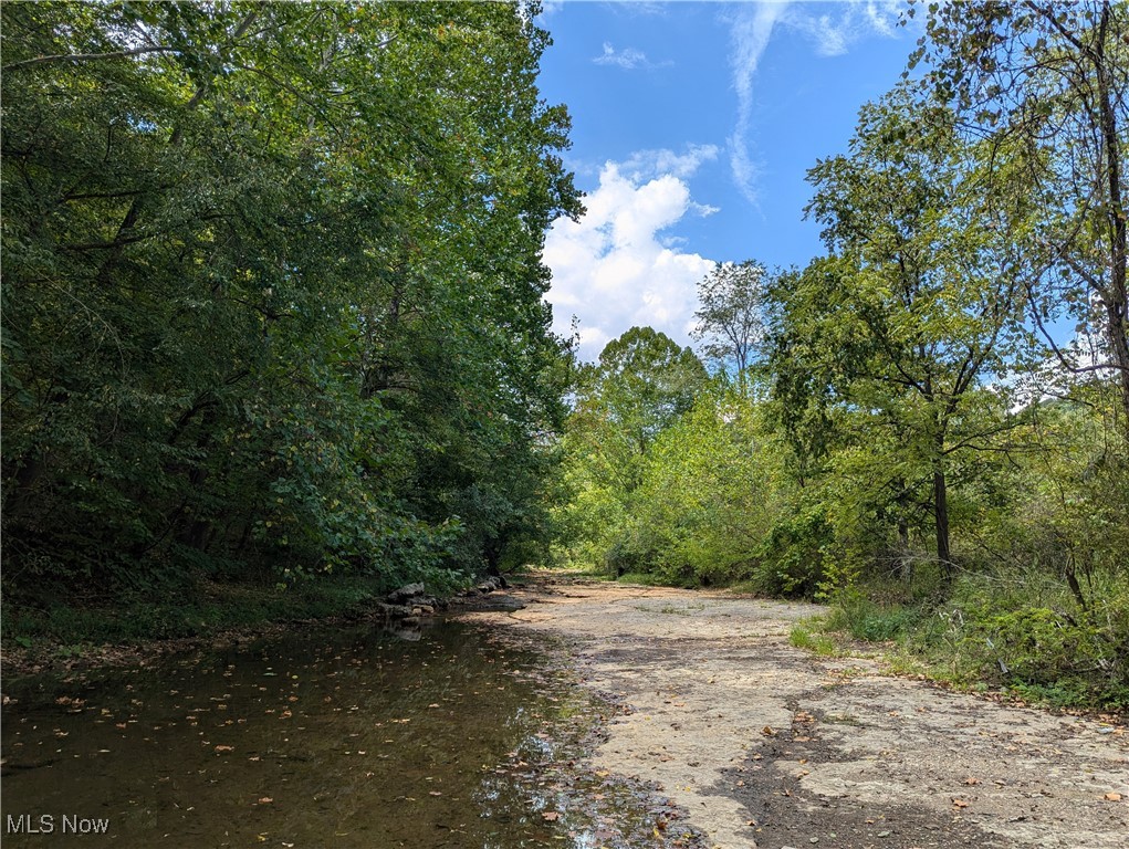 County Road 1, Rayland, Ohio image 3