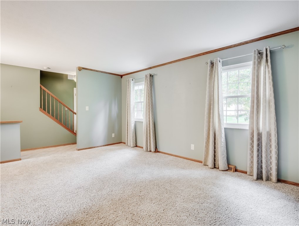 Tallmadge Woods - Residential