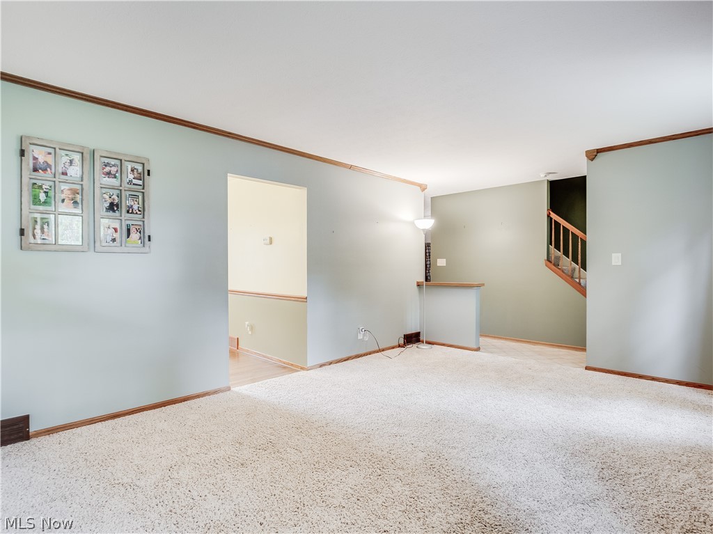 Tallmadge Woods - Residential