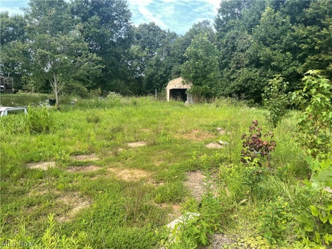 Vacant Land For Sale - 121 Rockland Drive<br/> Wood County, Williamstown, WV 26187