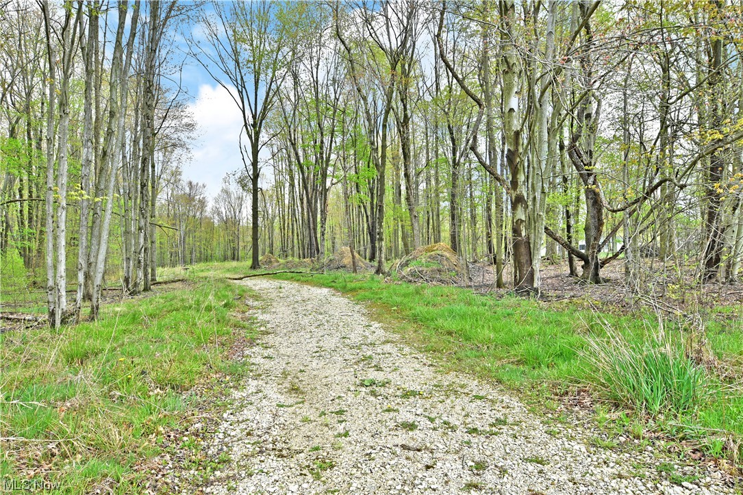 Walnut Run Estates Ph #1 - Land