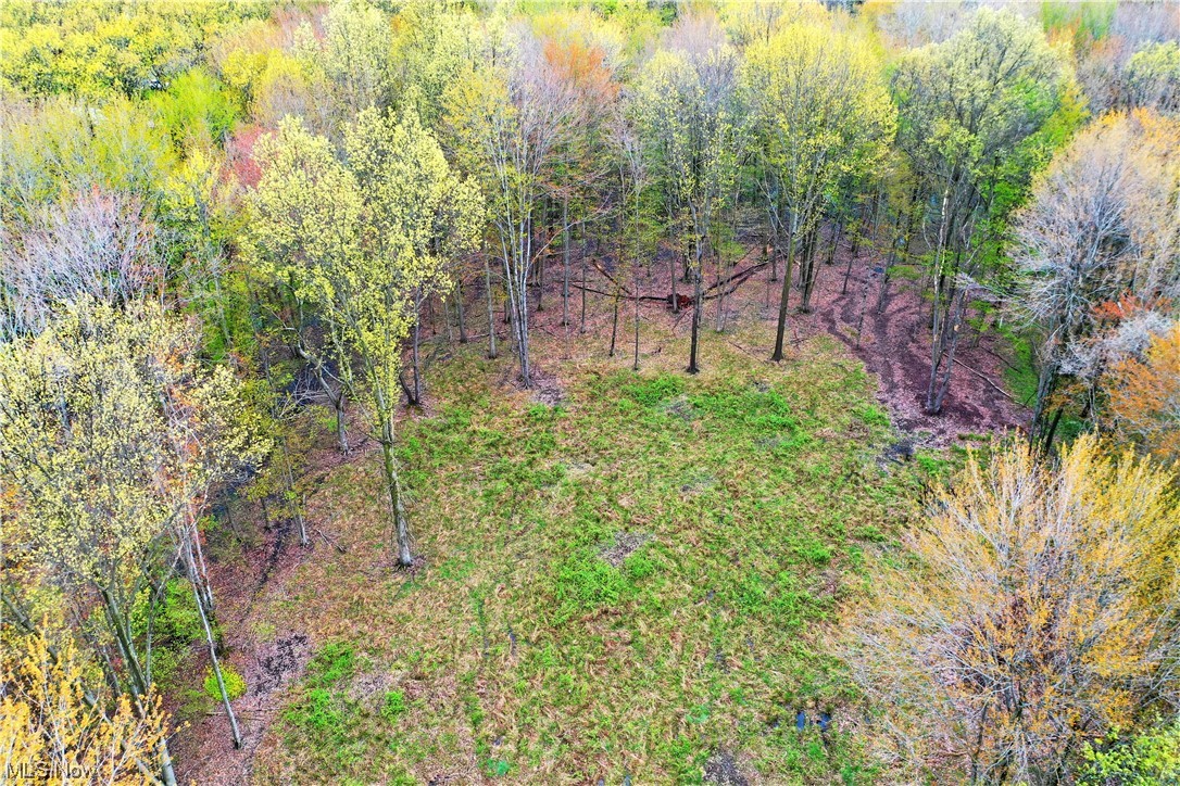 Walnut Run Estates Ph #1 - Land