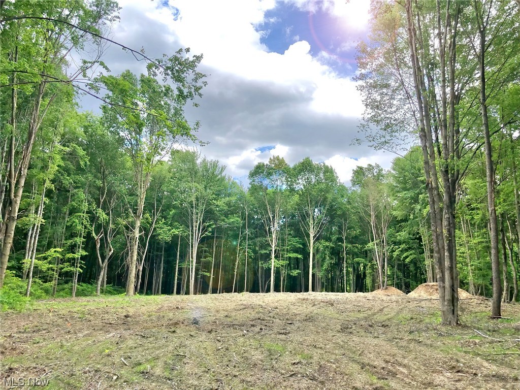 Walnut Run Estates Ph #1 - Land