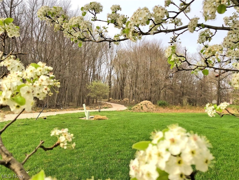 Walnut Run Estates Ph #1 - Land