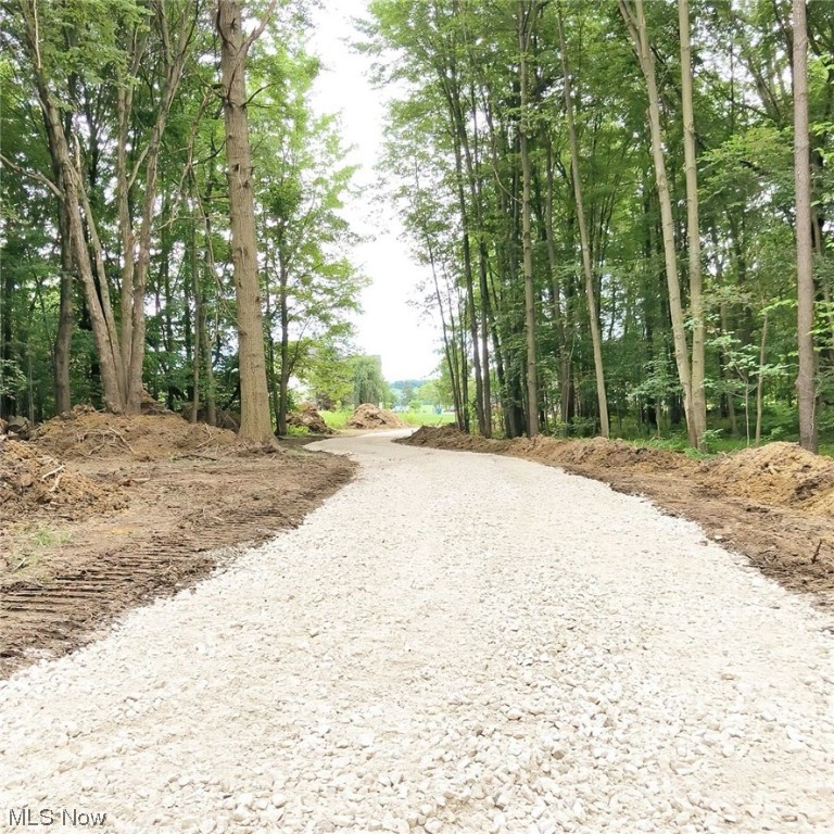 Walnut Run Estates Ph #1 - Land