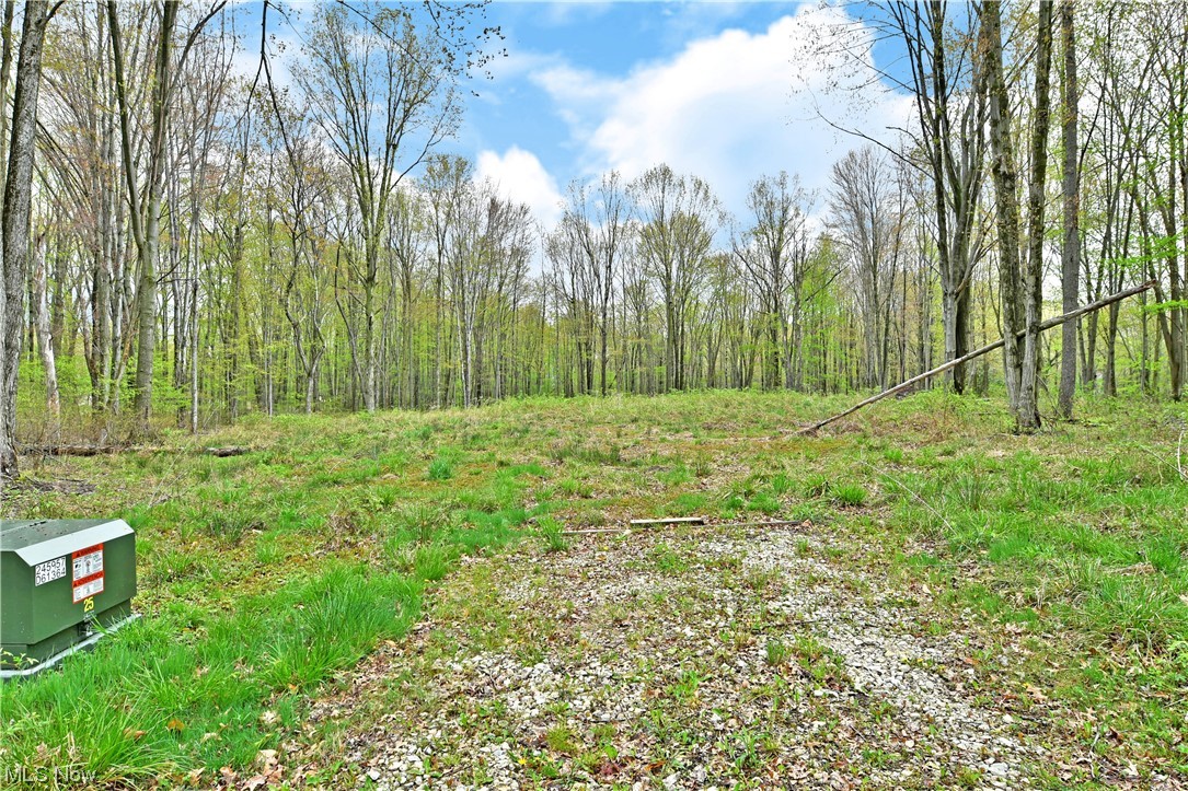 Walnut Run Estates Ph #1 - Land