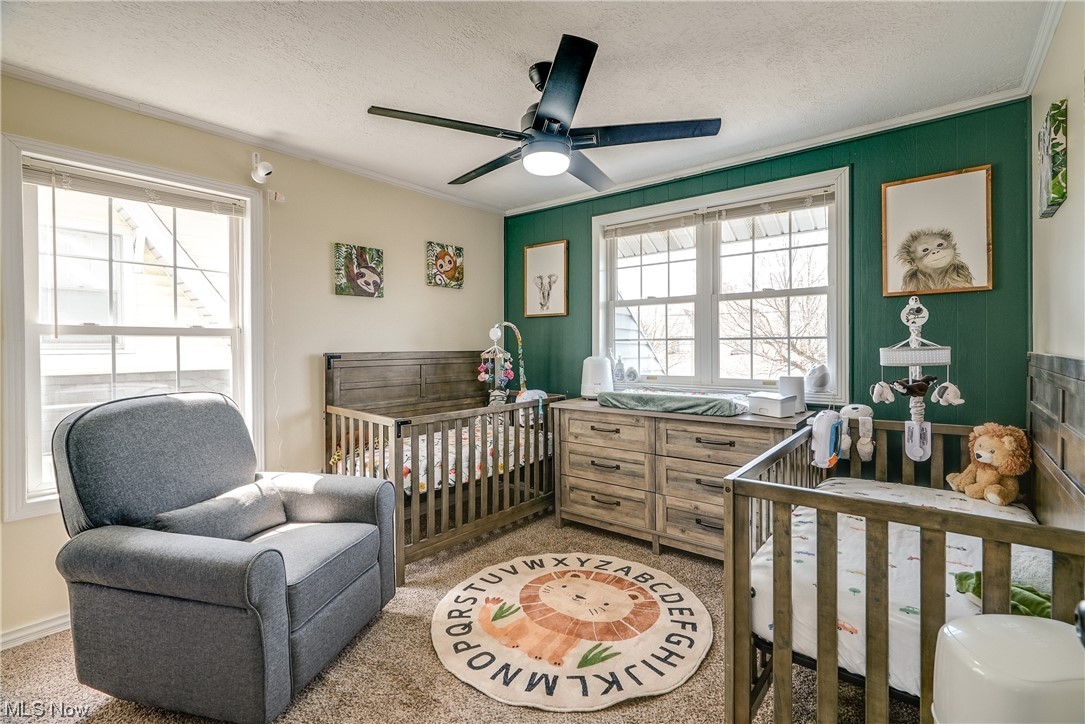 P T Mccourt Allotment - Residential