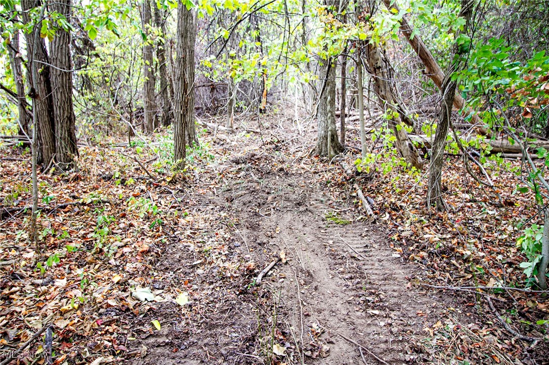 Douglass Road, Barnesville, Ohio image 17