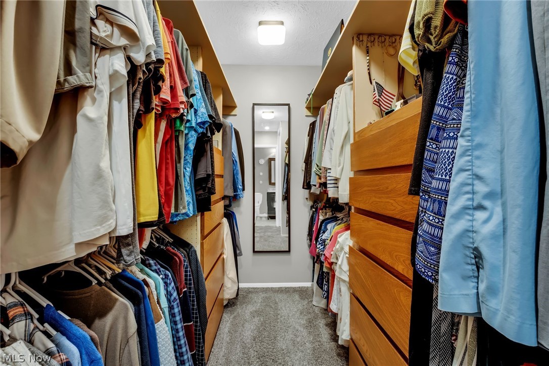 Forest Park - Residential