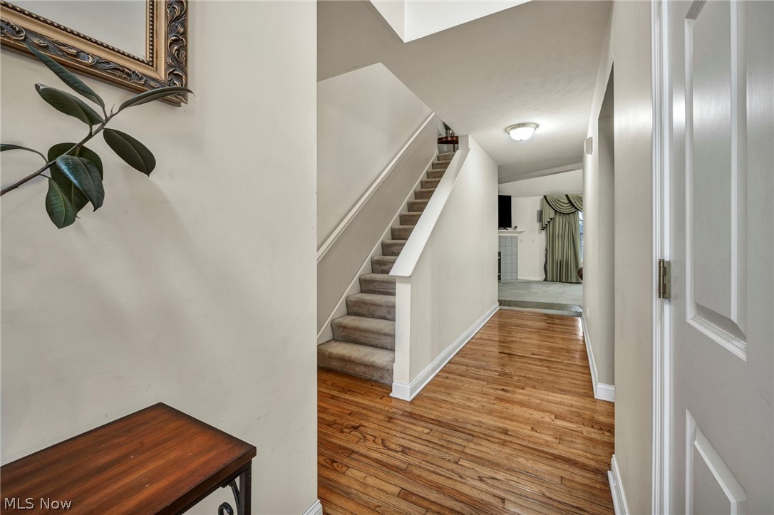 Euclid 17 - Residential