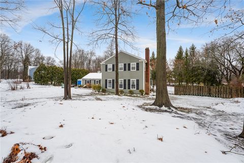 369 Fox Run Trail Aurora OH 44202