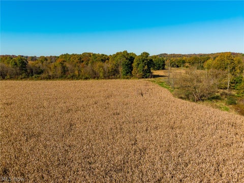 Tiny photo for SW Northvale Avenue, Beach City, OH 44608 (MLS # 5255755)
