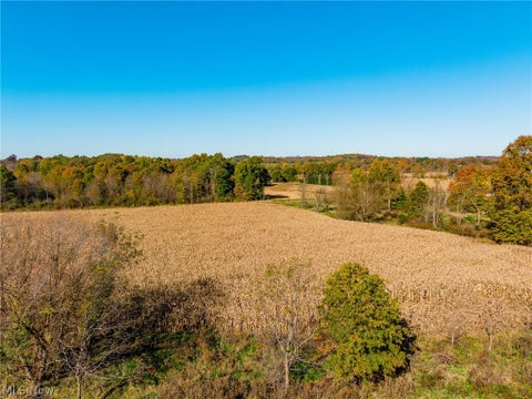 Tiny photo for SW Northvale Avenue, Beach City, OH 44608 (MLS # 5255755)