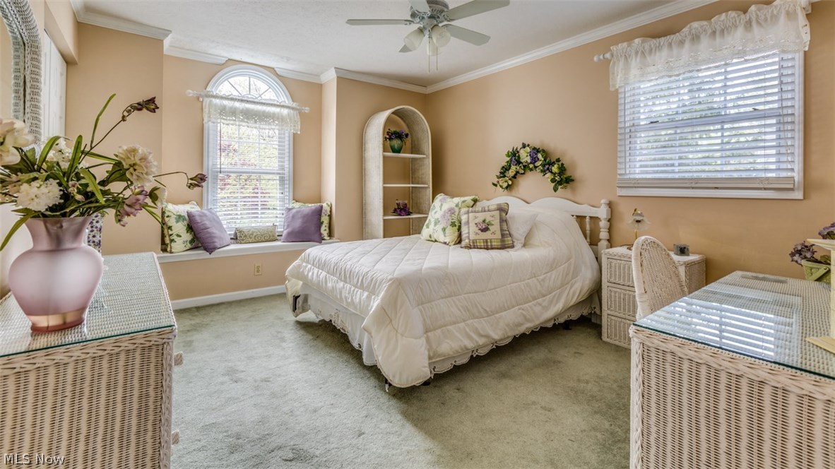 Little Mountain Park - Residential