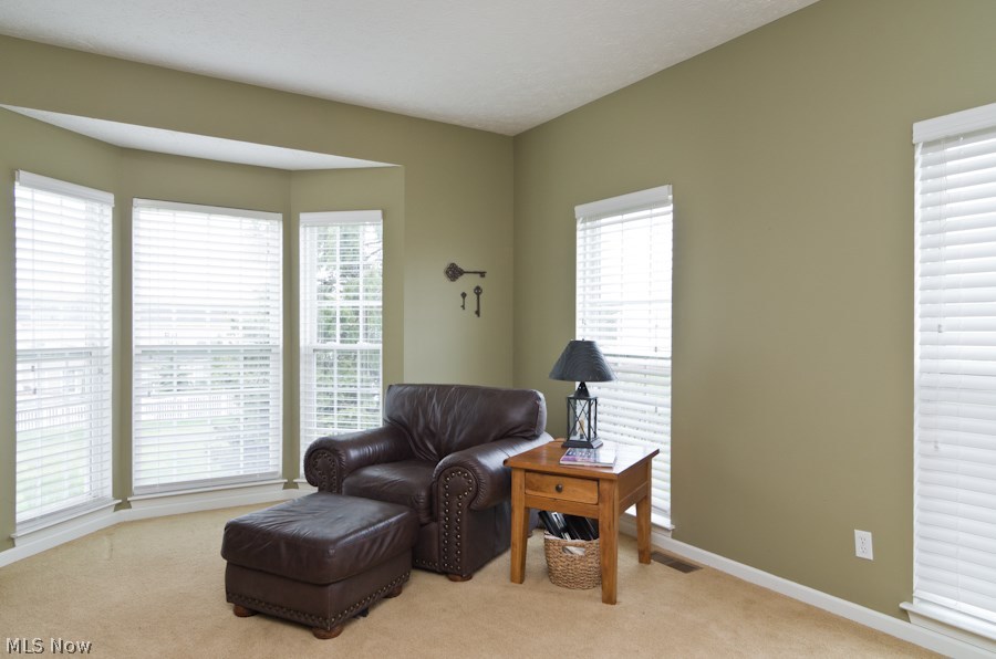 Meadows/Southpointe Ph 02 - Residential