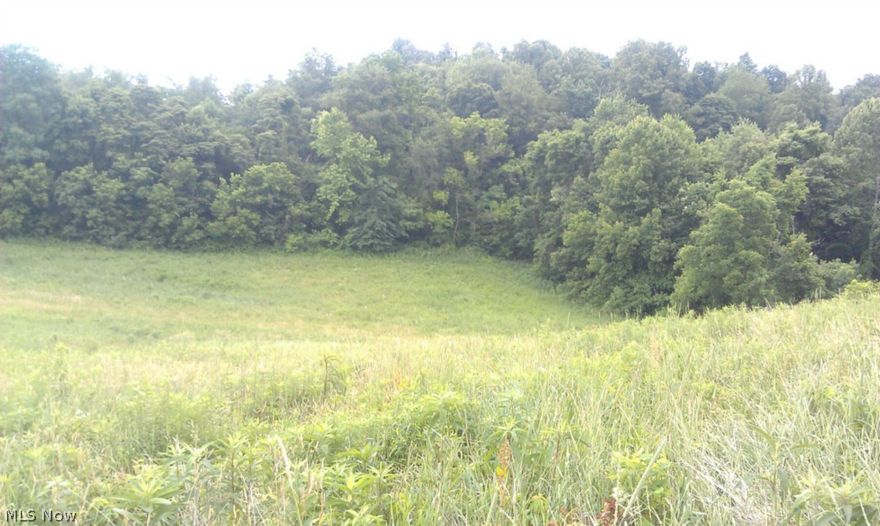 This 45.2 ac  has A nice mix of pasture land , woodland  and crop land  with lots of red  and white clover. Would be great hunting and recreational land with beautiful building sights with a great view. It has some trails throughout. Only 5 to 10 minutes from I 77.