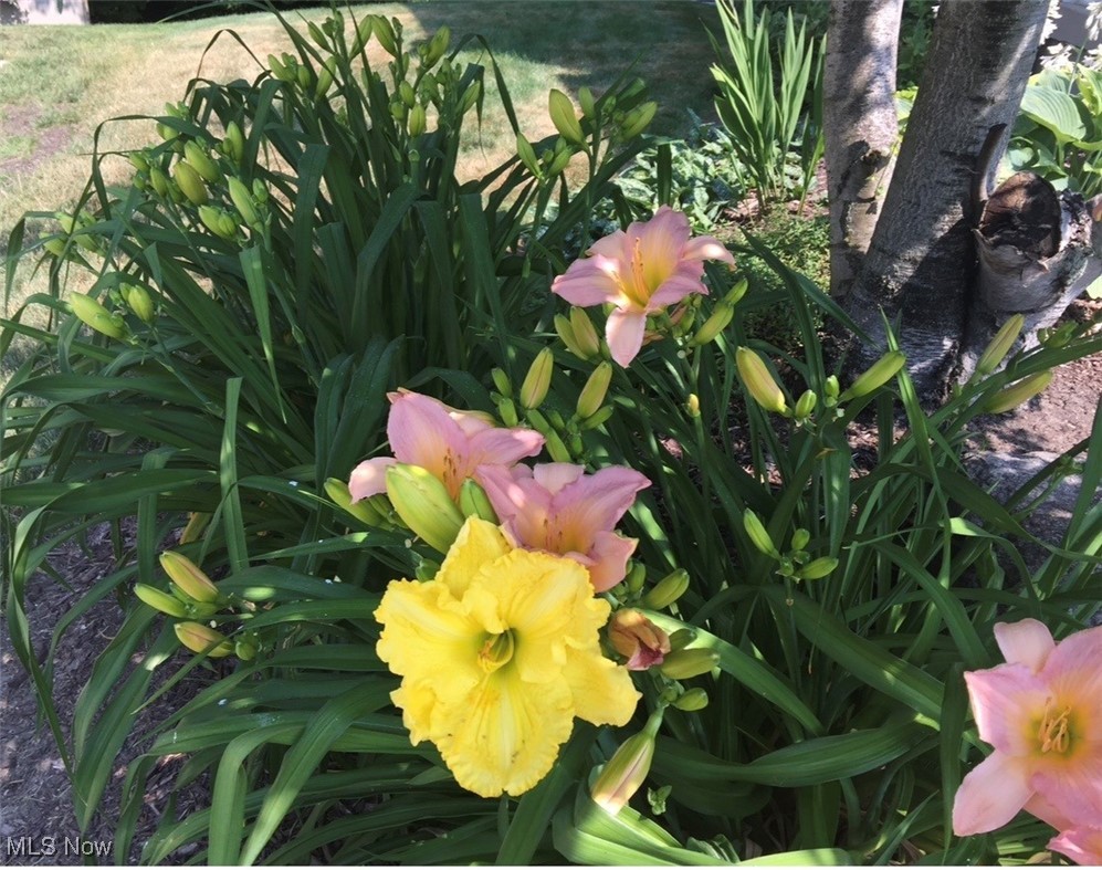 Hollythorn Sub Ph III - Residential