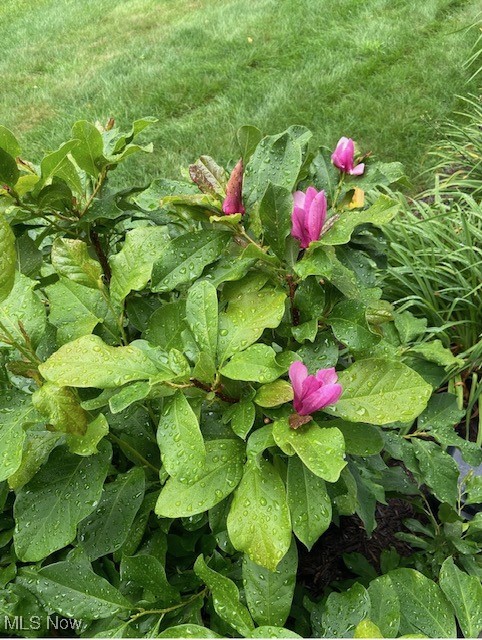 Hollythorn Sub Ph III - Residential