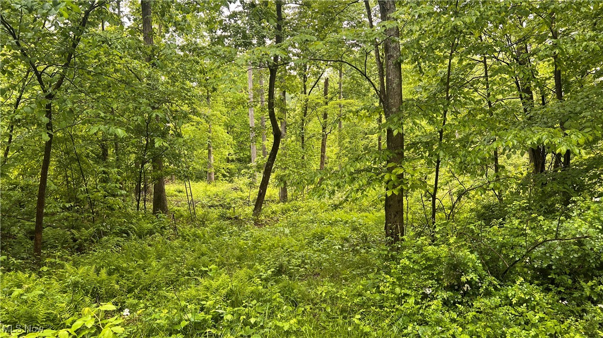 Township Road 1089, Butler, Ohio image 5