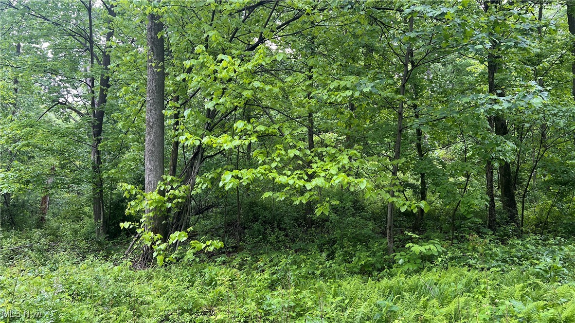 Township Road 1089, Butler, Ohio image 7