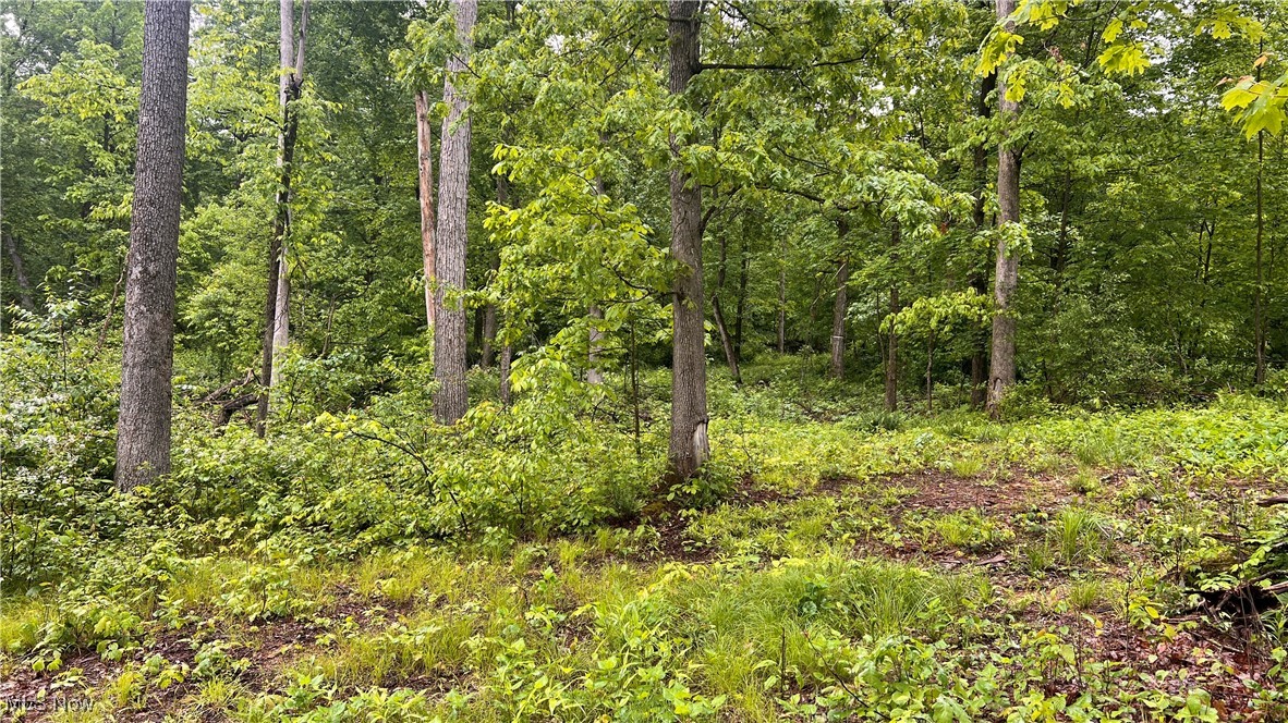 Township Road 1089, Butler, Ohio image 1