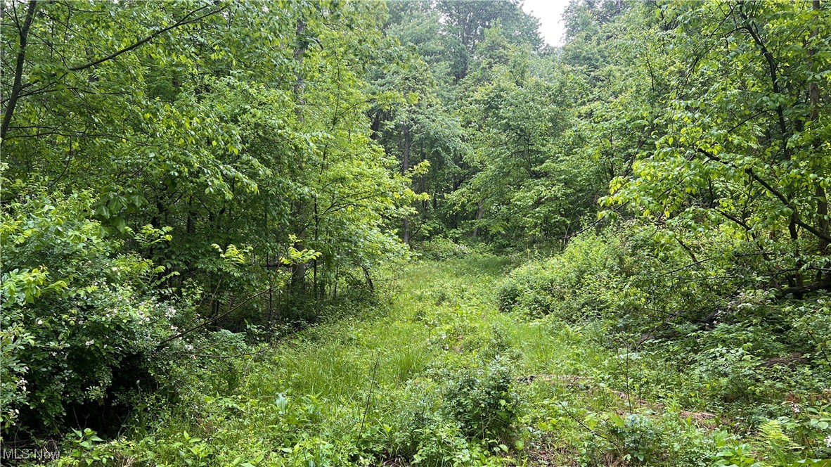 Township Road 1089, Butler, Ohio image 4