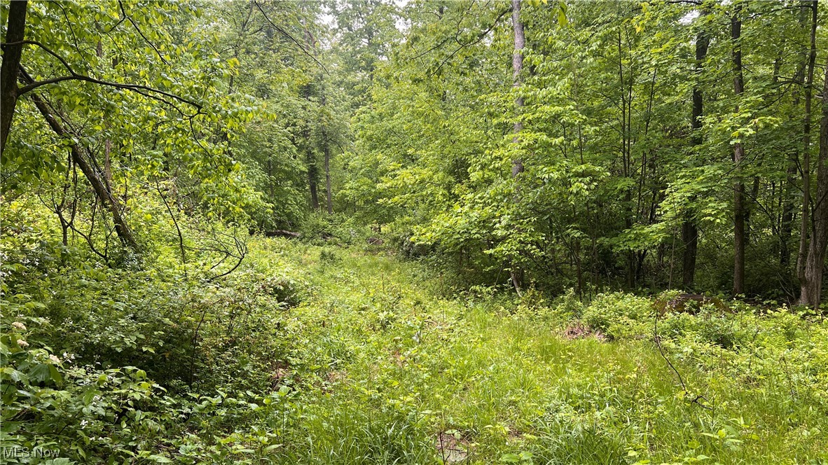Township Road 1089, Butler, Ohio image 8