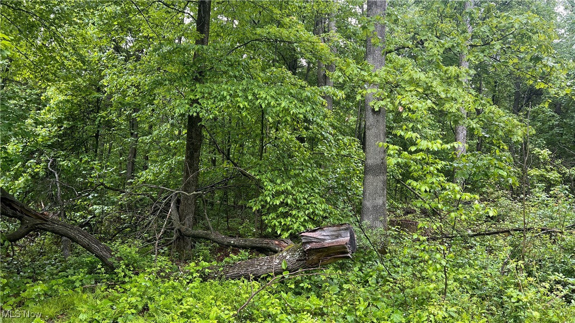 Township Road 1089, Butler, Ohio image 3