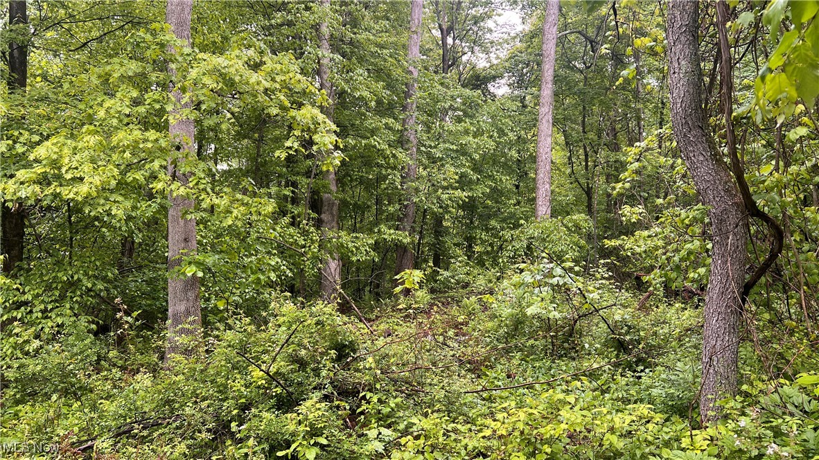 Township Road 1089, Butler, Ohio image 2