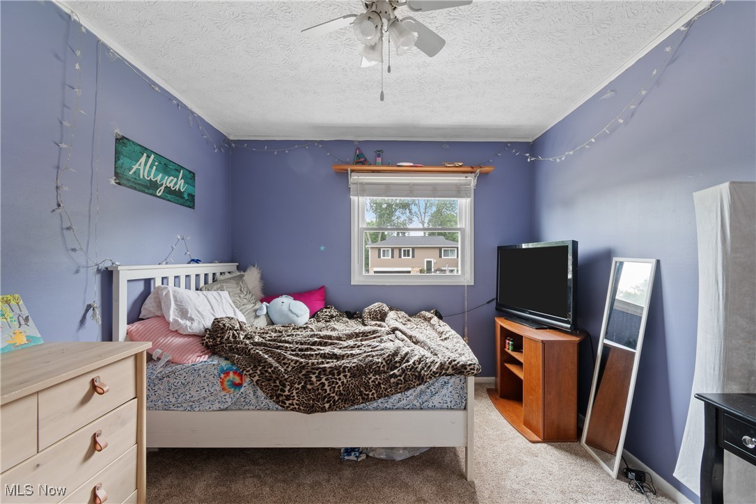 Canal Fulton - Residential