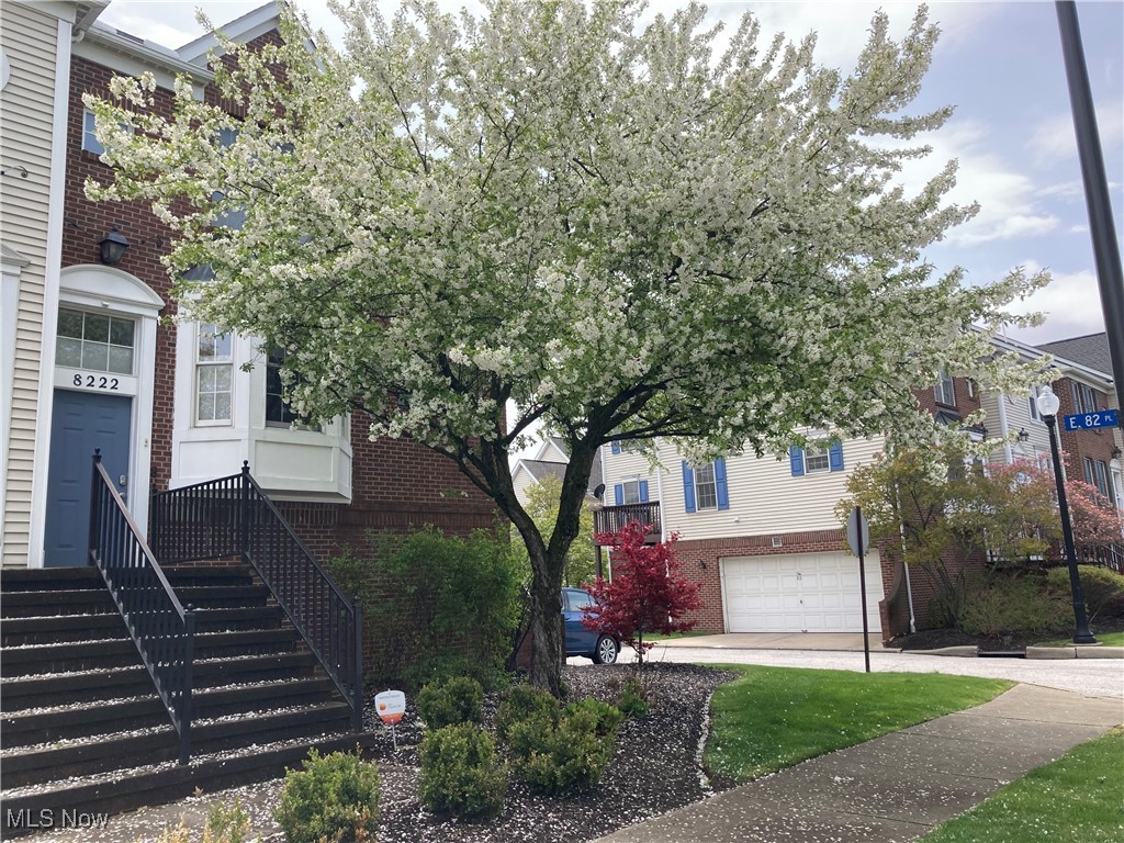 Welcome to 8222 Chester Parkway. This end unit townhome features 4 bedrooms, two fireplaces, 3 full bathrooms and a private upper level porch. Located within a quiet planned unit development and a short drive from/to downtown Cleveland. Also, this townhome is just a few short blocks from the main campus of the Cleveland Clinic, University Circle, Case Western Reserve and MORE!
“Fair housing accommodations and modifications for persons with disabilities will be considered on a case by case basis in accordance with the fair housing laws.