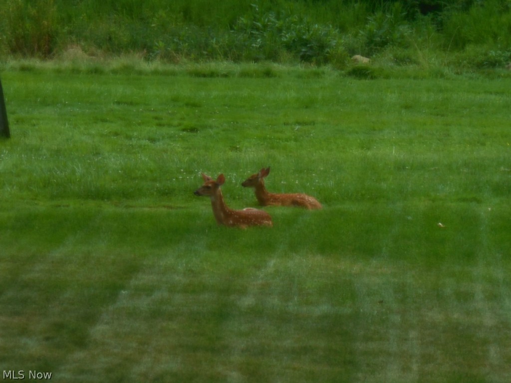 Applewood Acres - Residential