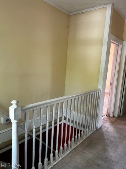 Village/Lodi - Residential