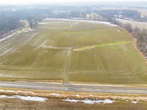 Vacant Land For Sale - 7389 Doylestown Road<br/> Wayne County, Sterling, OH 44276