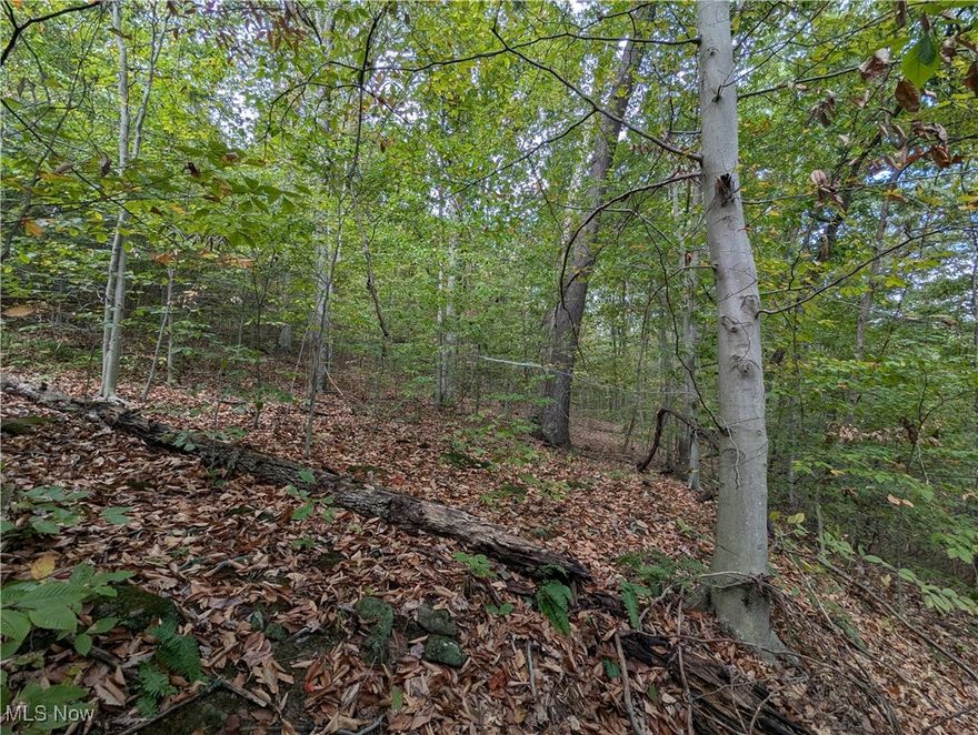 This property is a fantastic small hunting tract adjacent to Brush Creek Wildlife Area that offers over 4,100 acres of public access to explore. The timber on the property has been select cut in the past and has created high stem density cover. A deep bowl with great bedding is at the front of the property with a high oak ridge at the back that is perfect for all day sits. The heavily traveled trails, beds and rubs are very impressive and speak to the strong deer population utilizing this tract. The terrain is steep but a network of logging roads help to get around the property. The owner has enjoyed the property over the years and had many successful hunts for deer and turkey. The time has now come for them to pass the torch to a new owner to enjoy the property and make it their own private slice of heaven. Don't miss your opportunity, this one won't last long!