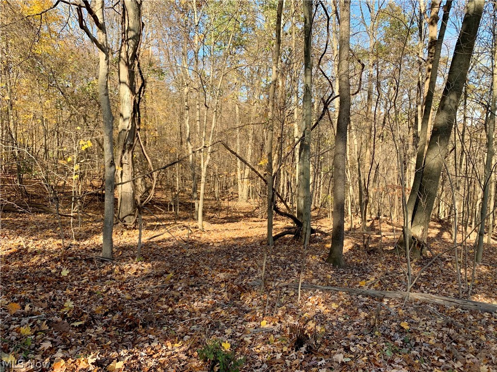 US Military District - Land