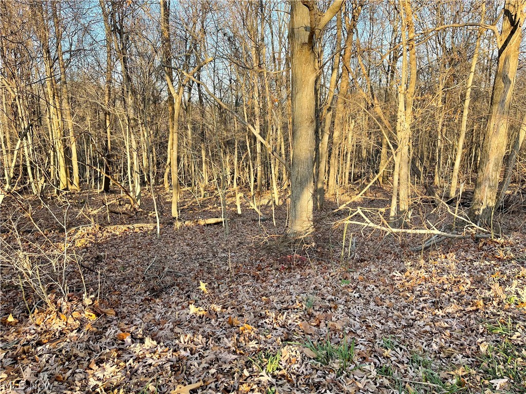 US Military District - Land