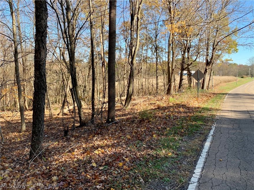 6.01 acres of vacant land ready for you to build your dream home on! Beautiful country living with gorgeous views of the sunset and lay of the land. Located in the West Muskingum school district and just minutes from Flint Ridge State Park, a 525-acre park just north of Brownsville!  The property encompasses many trees that could be cleared for the perfect location of your new home to be built with many that could be left to provide shade, privacy and the feeling of living in the woods!  Call today to inquire more!