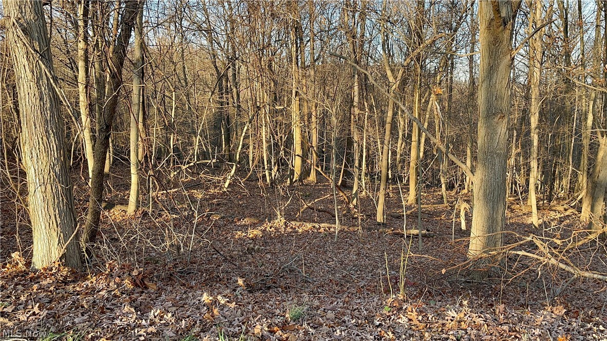 US Military District - Land