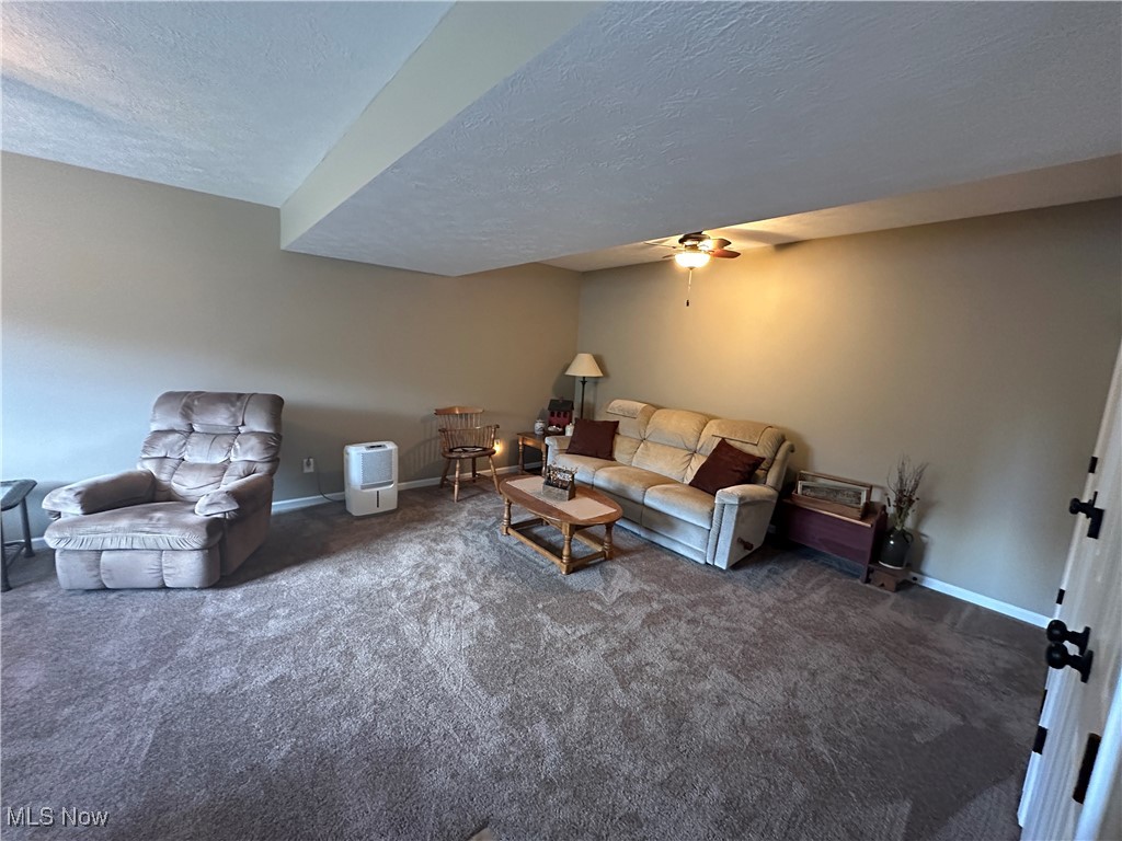 35355 County Road 122, Barnesville, Ohio image 37
