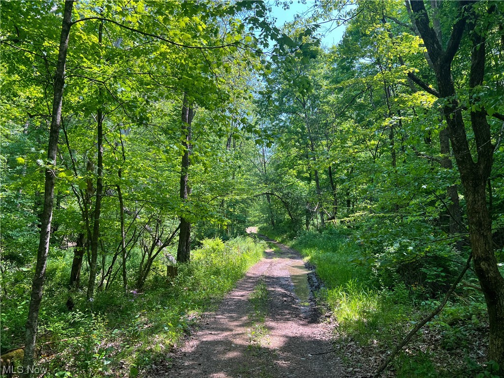 Online Only Auction! Begins Ending Tuesday, June 27th, 2023 at 6:00 PM. Discover your private sanctuary nestled within 54 acres of lush woodland in western Holmes County, a mile east of the town of Greer and the tranquil Mohican River. This expansive property is carpeted with a robust collection of red and white oak trees, impressively maintained and primed for harvesting, presenting a unique opportunity for timber investors. A good trail system winds its way through the property, perfect for leisurely nature walks, bird watching, or a more thrilling hunting expedition. Known for its quality deer population, this property is a hunter's paradise. The property is accessible via an easement off of Township Road 15, ensuring tranquility and privacy away from the busyness of everyday life. A significant addition to the property is the transferable ownership of mineral rights, including oil and gas rights that are currently leased and producing, providing a potential source of income. This i