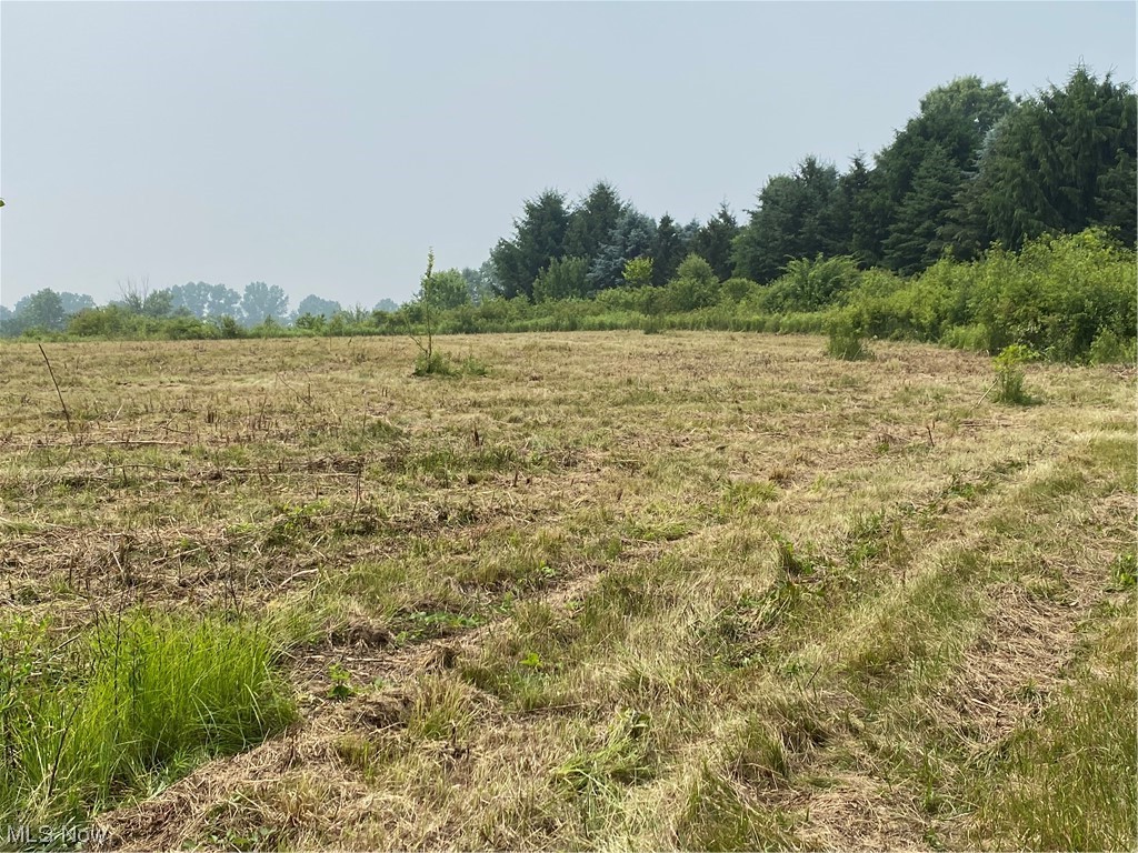 Beautiful 10.169 Vacant flag shaped acreage surrounded by lovely homes- 29.6 front on Webb Road, see diagram attached.