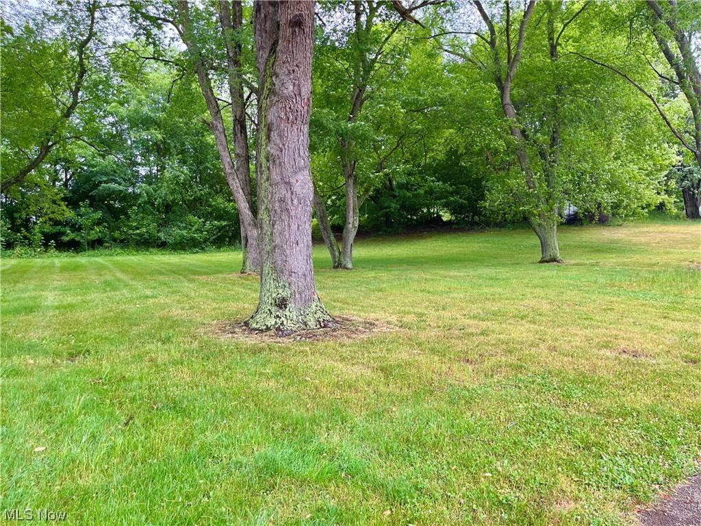 LOT 1 Southview Allot - Residential Income