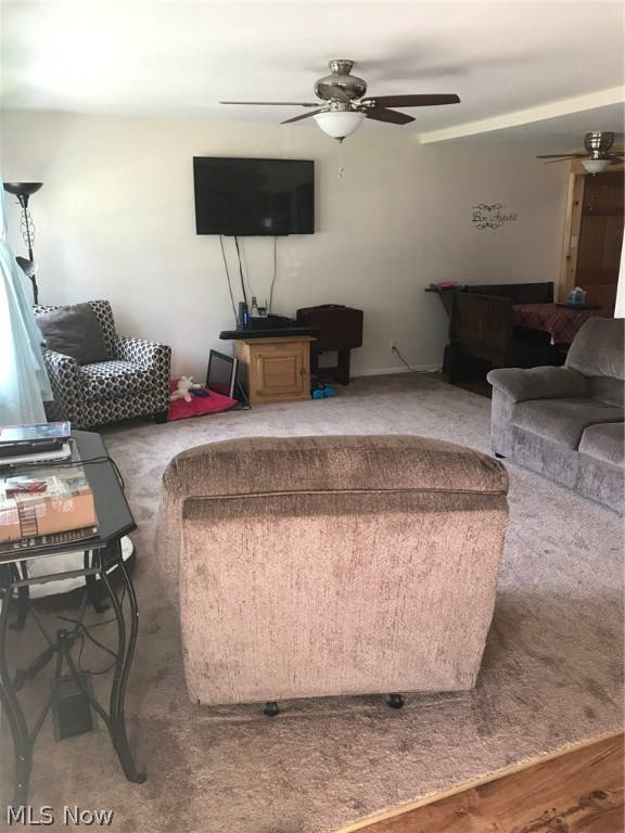 Cuya Manor Sub - Residential