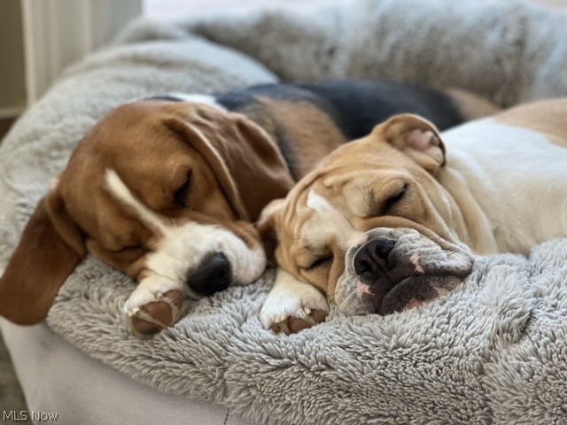 River Glen Farms - Residential