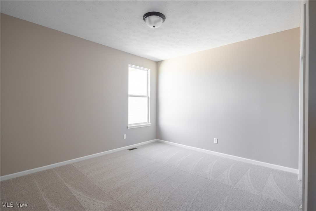 10261 Baker Creek Lane, Columbia Station, Ohio image 26