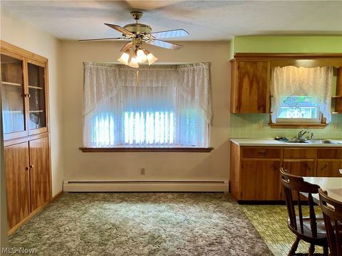 Tiny photo for 440 Medina Road, Lodi, OH 44254 (MLS # 5210624)